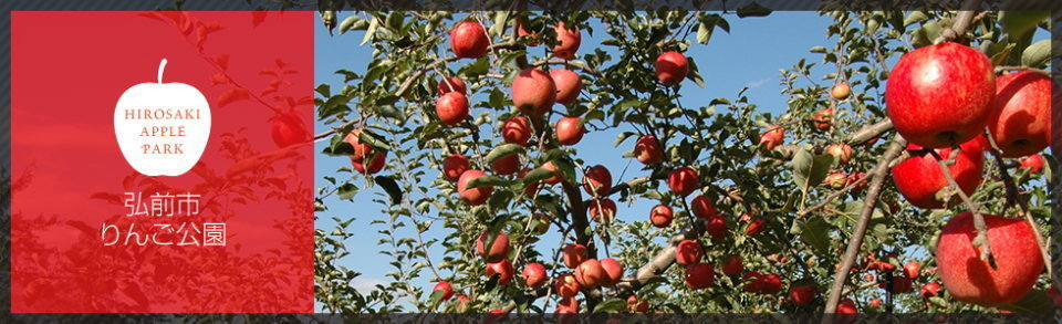 Hirosakishi Ringo Koen — Apple in Japan