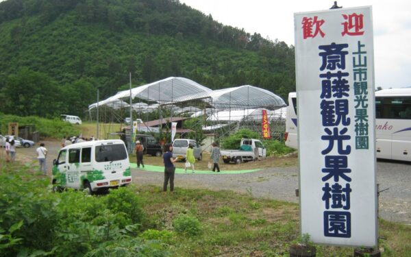 Saitou Kanko Kajuen — Cherry fruit picking spot in Japan
