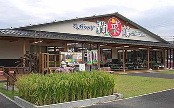 Jun Sen Plaza Man Saikan — 일본 멜론 따기 스팟