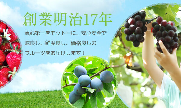 村田果樹園 — ブルーベリーのフルーツ狩りスポット