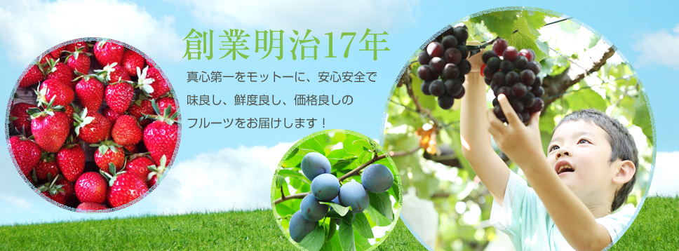 村田果樹園 — いちご