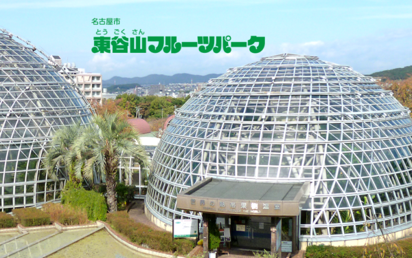 Azumaya Yama Fruits Park — 일본 사과 따기 스팟