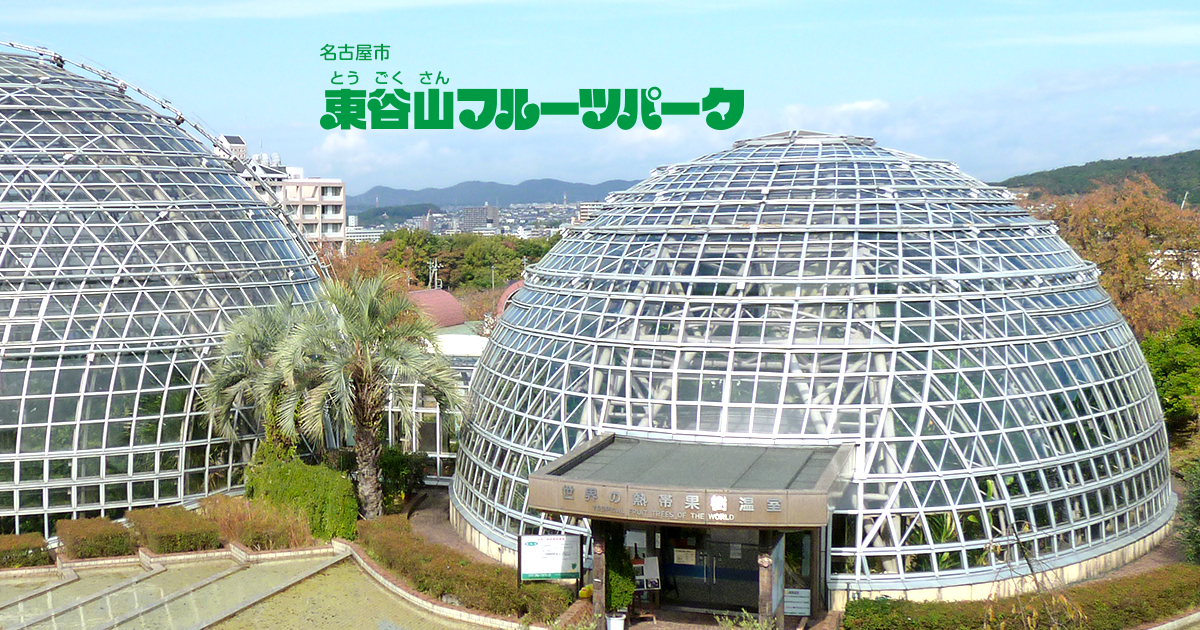 Azumaya Yama Fruits Park — 일본 무화과