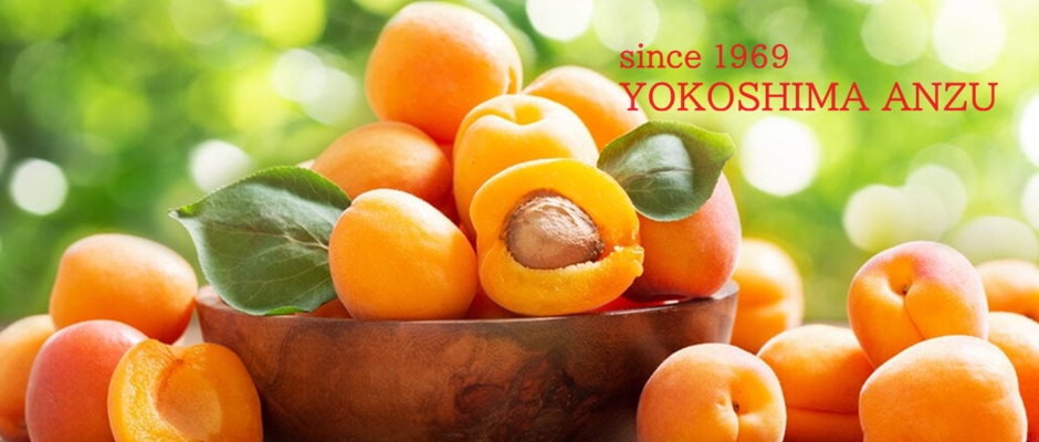 Yokoshima Bussan Anzuno Sato Anzu Shop — Apricot in Japan