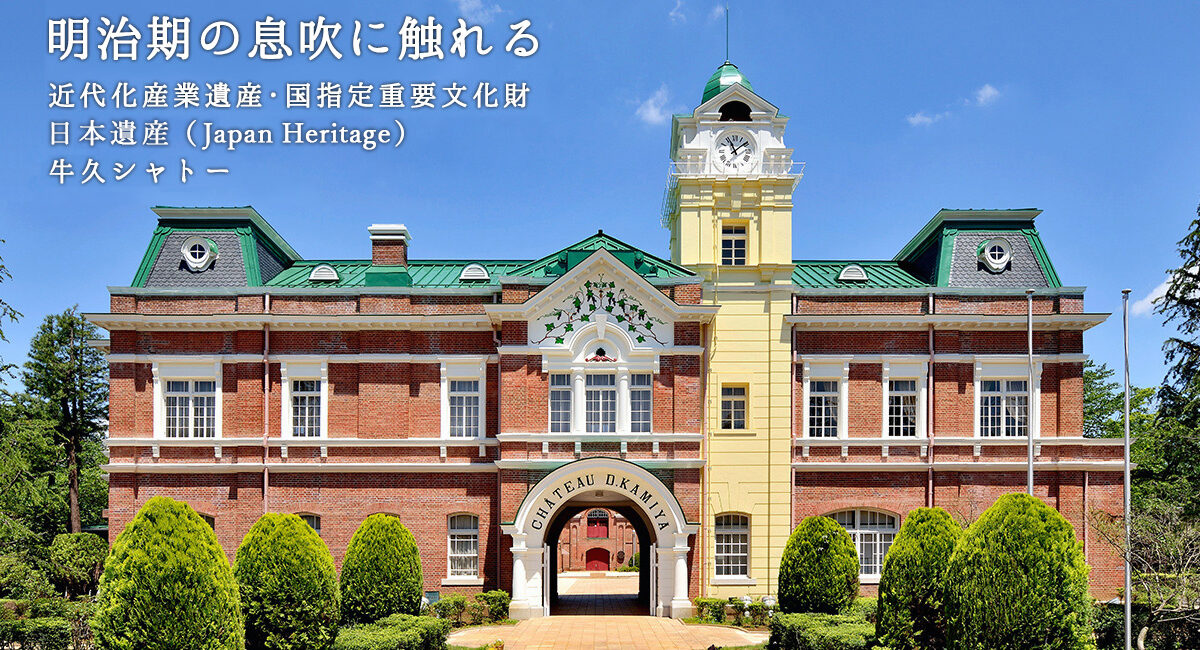 Ushiku Shatoo — 일본 포도