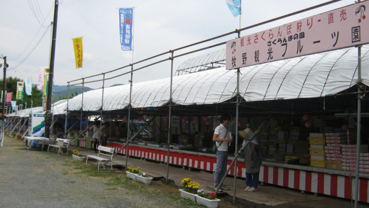 Makino Kanko Fruits Sono — 일본 체리