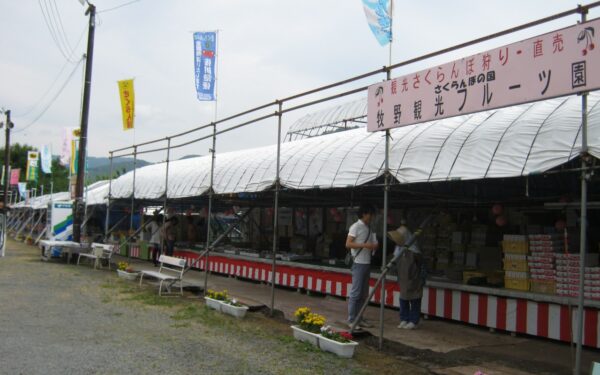 Makino Kanko Fruits Sono — Cherry fruit picking spot in Japan
