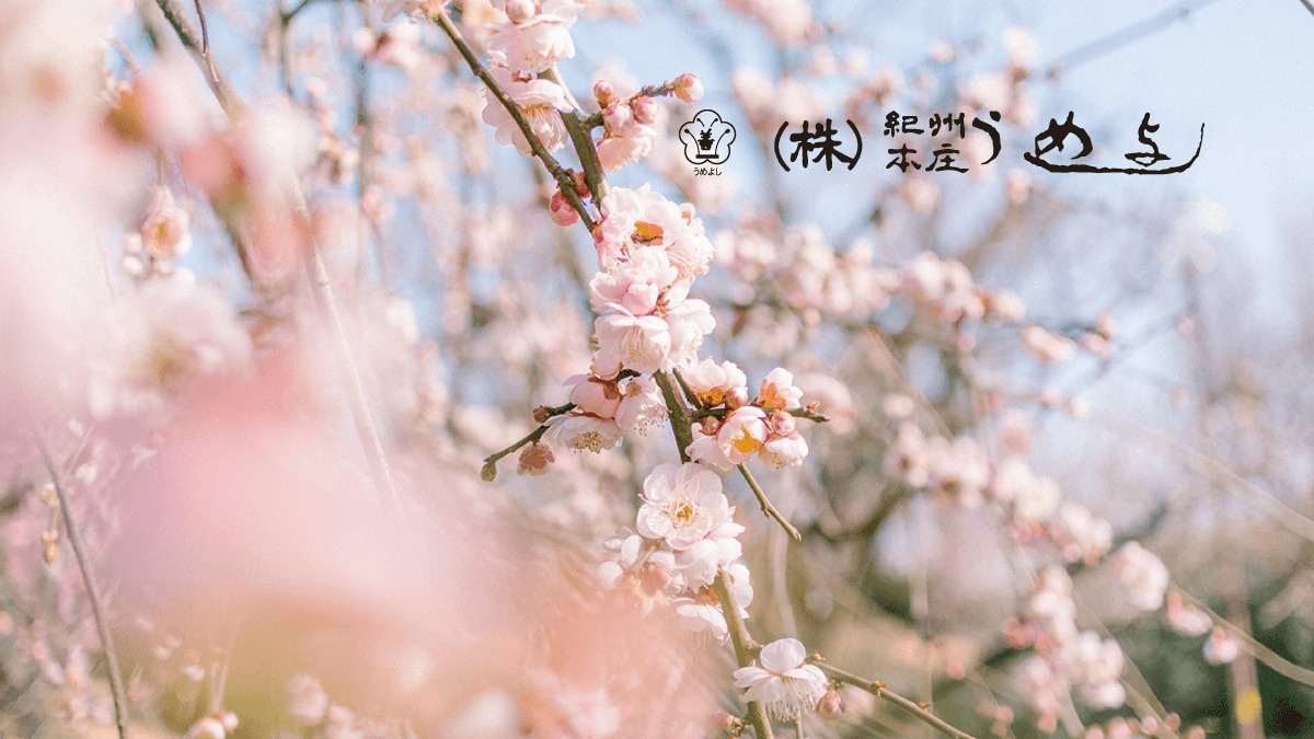 紀州本庄うめよし — 梅