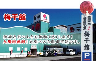 紀州梅干館 — 梅のフルーツ狩りスポット