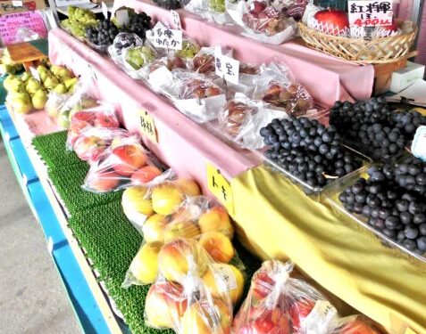 Fujimori Kajuen — Cherry fruit picking spot in Japan