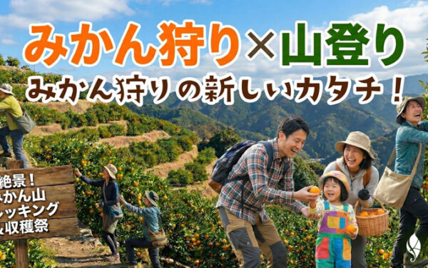 Kannon Yama Fruits Garden — 일본 밀감 따기 스팟