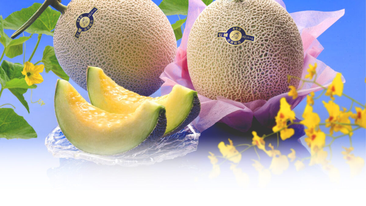 Michi No Eki Shichijou Melon Doomu — Melon in Japan