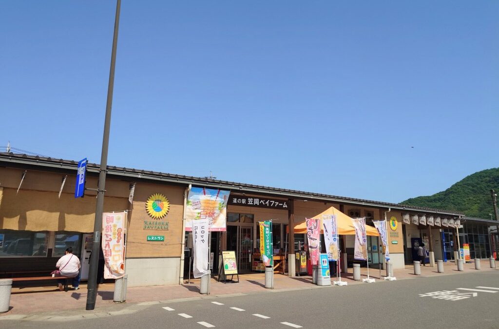 Michi No Eki Kasaoka Bei Farm — 일본 포도