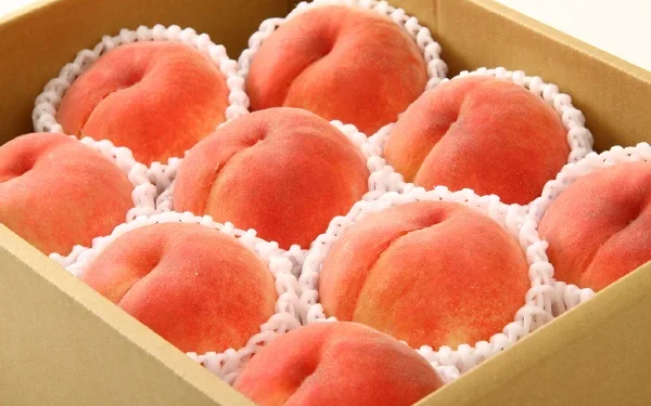 道の駅しらね農産物直売所