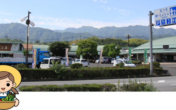 Michi No Eki Toyotomi — 일본 포도 따기 스팟