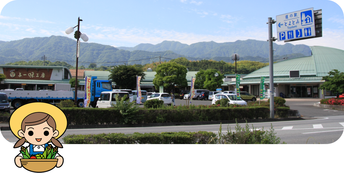道の駅とよとみ — ぶどう