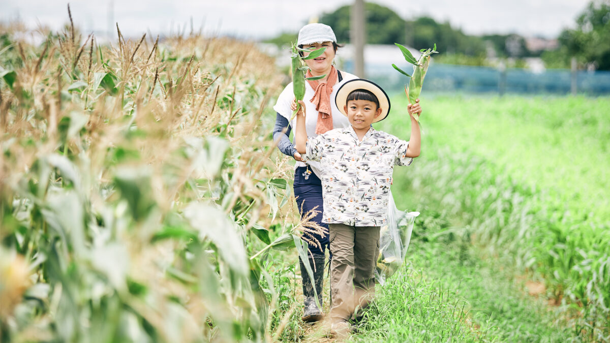 Michi No Eki Toyohashi — Strawberry in Japan