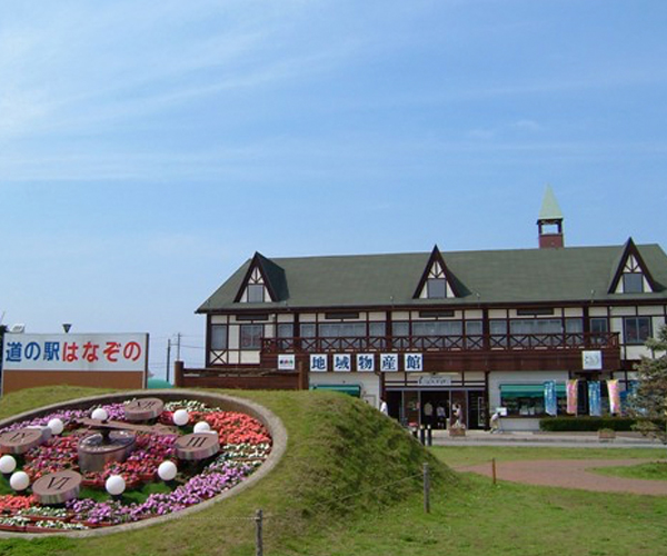 Michi No Eki Hanazono — Strawberry in Japan