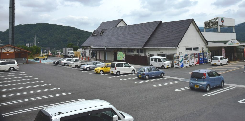 Michi No Eki Minano — Grape in Japan