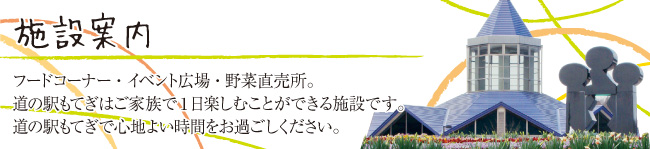 Michi No Eki Motegi — 일본 딸기