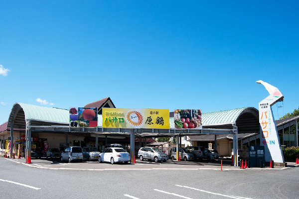 道の駅原鶴 ファームステーションバサロ — いちじく