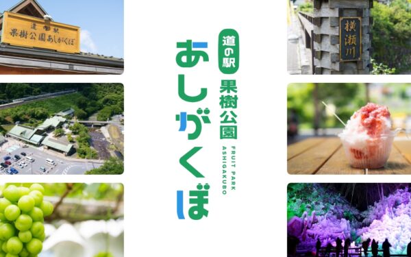 Michi No Eki Kaju Koen Ashigakubo — 일본 포도 따기 스팟