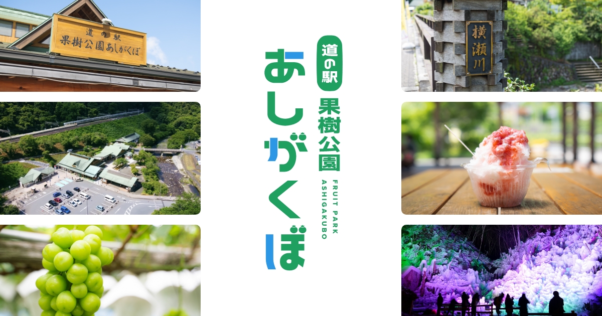Michi No Eki Kaju Koen Ashigakubo — 일본 딸기