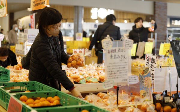 Michi No Eki Kainan Sakuasu — 일본 밀감 따기 스팟