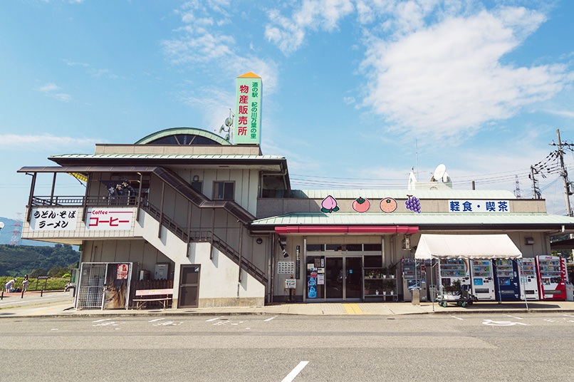Michi No Eki Ki No Kawa Manyou No Sato — Grape in Japan