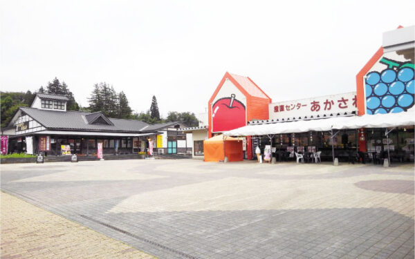 Michi No Eki Shiwa — 일본 사과 따기 스팟