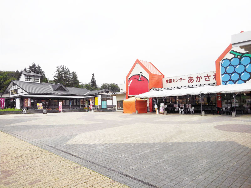 Michi No Eki Shiwa — 日本葡萄